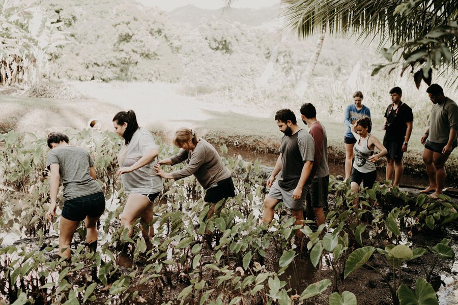 hawaii wedding destination mariage