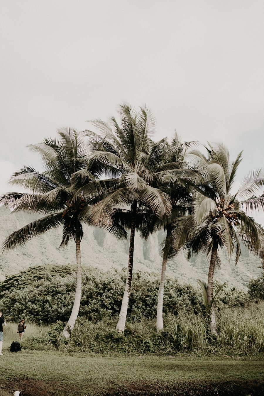hawaii wedding destination mariage