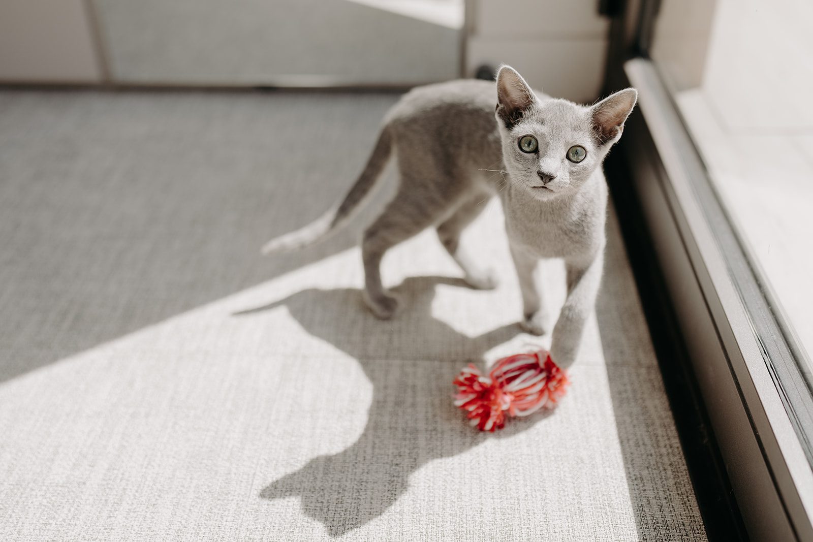 Provence wedding, domaine de la galiniere