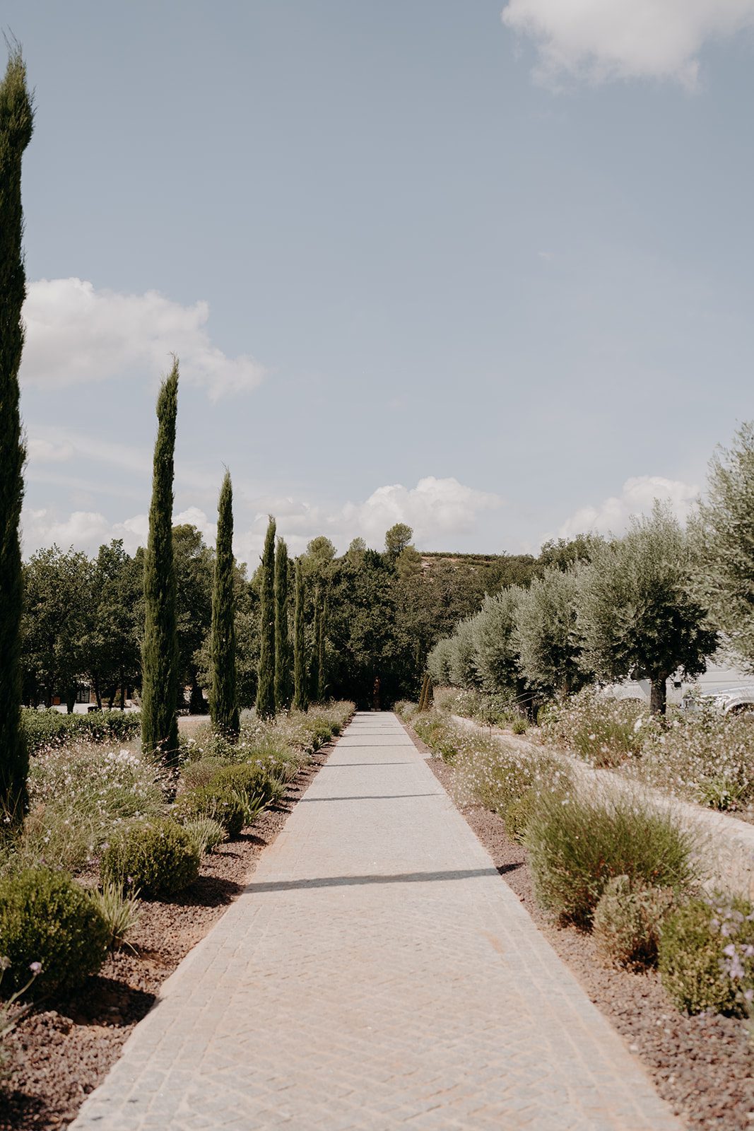 Provence wedding, domaine de la galiniere